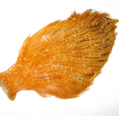 super fly chinese cock cape ginger